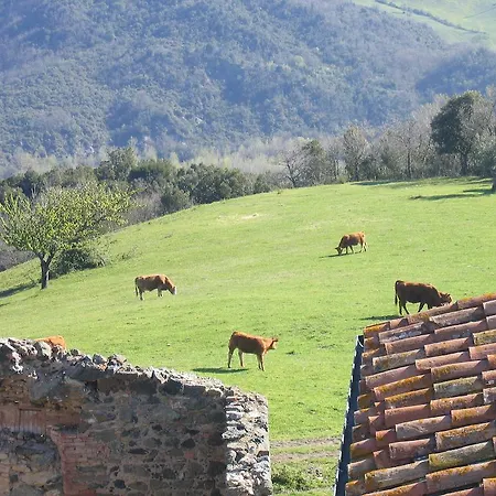 Borgo Cerbaiola Lantställe